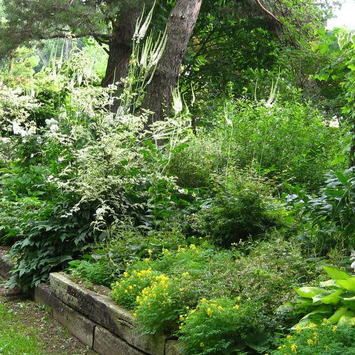 Shade Garden Collection Large